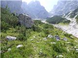 Rifugio Primula - Forcella Marmarole