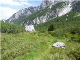 Rifugio Primula - Forcella Marmarole