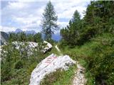 Rifugio Primula - Forcella Marmarole