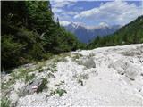 Rifugio Primula - Forcella Marmarole