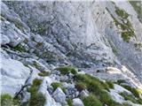 Rifugio Tolazzi - Pilastro del Coglians