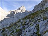 Rifugio Tolazzi - Pilastro del Coglians