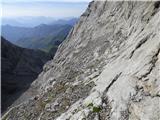 Rifugio Tolazzi - Pilastro del Coglians