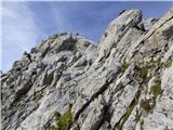 Rifugio Tolazzi - Pilastro del Coglians