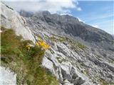 Rifugio Tolazzi - Cima di Mezzo / Keller Warte