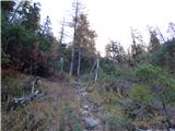 Rifugio Cercena - Bivak Montanel