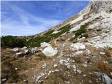 Rifugio Padova - Cima Montanel