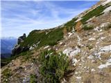 Rifugio Padova - Cima Montanel