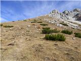 Rifugio Padova - Cima Montanel