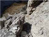 Rifugio Padova - Cima Montanel