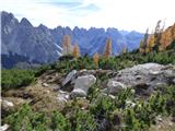 Rifugio Padova - Cima Montanel