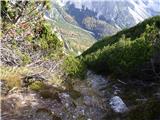 Rifugio Padova - Cima Montanel