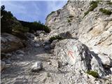 Rifugio Padova - Cima Montanel