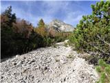 Rifugio Padova - Cima Montanel