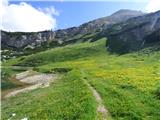 Rifugio Pederü - Col Bechei