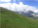 Rifugio Pederü - Col Bechei