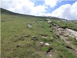 Rifugio Pederü - Col Bechei