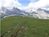 Rifugio Pederü - Col Bechei