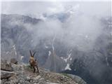 Rifugio Pederü - Col Bechei