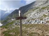 Rifugio Pederü - Cima Nove / Neunerspitze