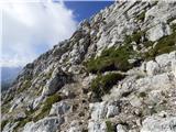 Rifugio Pederü - Cima Nove / Neunerspitze