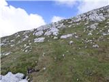 Rifugio Pederü - Cima Nove / Neunerspitze