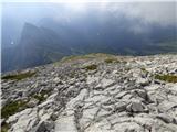 Plöckenpass - Creta di Collina / Kollinkofel