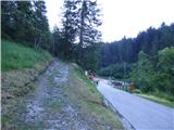 Edelweiss - Monte Volaia / Wolayer Kopf