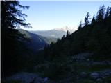 Edelweiss - Monte Volaia / Wolayer Kopf