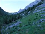 Edelweiss - Monte Volaia / Wolayer Kopf