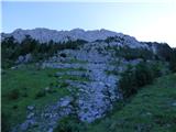 Edelweiss - Monte Volaia / Wolayer Kopf