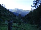 Edelweiss - Monte Volaia / Wolayer Kopf