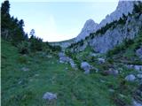 Edelweiss - Monte Volaia / Wolayer Kopf