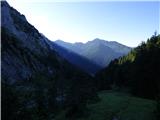 Edelweiss - Monte Volaia / Wolayer Kopf