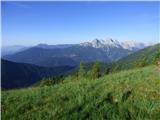 Edelweiss - Monte Volaia / Wolayer Kopf