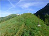 Edelweiss - Monte Volaia / Wolayer Kopf