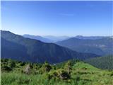 Edelweiss - Monte Volaia / Wolayer Kopf