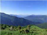 Edelweiss - Monte Volaia / Wolayer Kopf