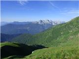 Edelweiss - Monte Volaia / Wolayer Kopf