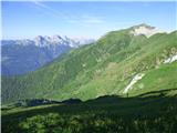 Edelweiss - Monte Volaia / Wolayer Kopf