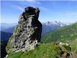 Edelweiss - Monte Volaia / Wolayer Kopf