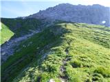 Edelweiss - Monte Volaia / Wolayer Kopf