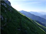 Edelweiss - Monte Volaia / Wolayer Kopf