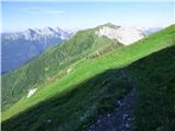 Edelweiss - Monte Volaia / Wolayer Kopf