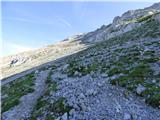 Edelweiss - Monte Volaia / Wolayer Kopf