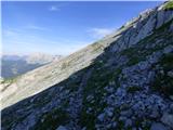 Edelweiss - Monte Volaia / Wolayer Kopf