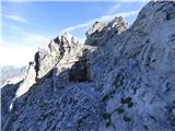 Edelweiss - Monte Volaia / Wolayer Kopf