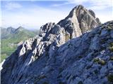 Edelweiss - Monte Volaia / Wolayer Kopf