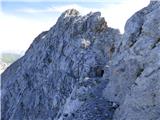 Edelweiss - Monte Volaia / Wolayer Kopf