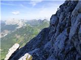 Edelweiss - Monte Volaia / Wolayer Kopf